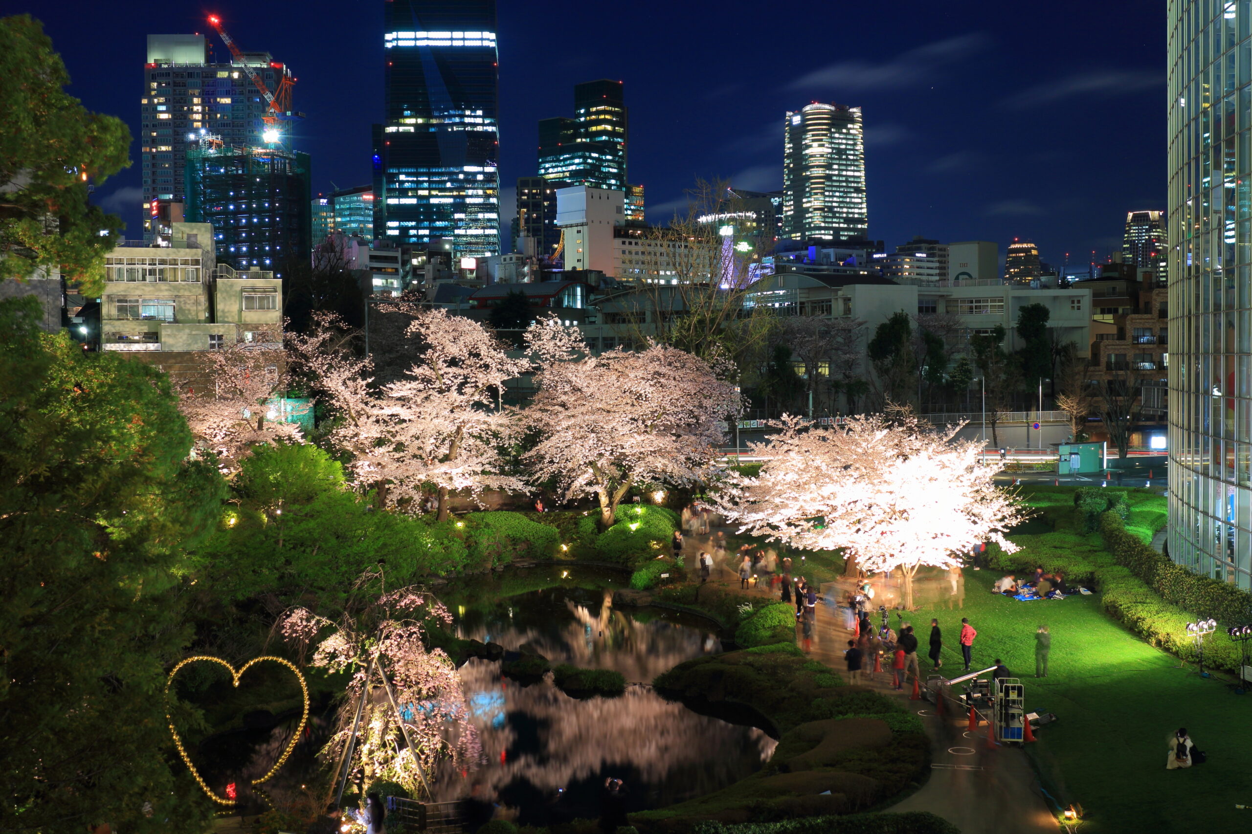 毛利庭園の夜の桜