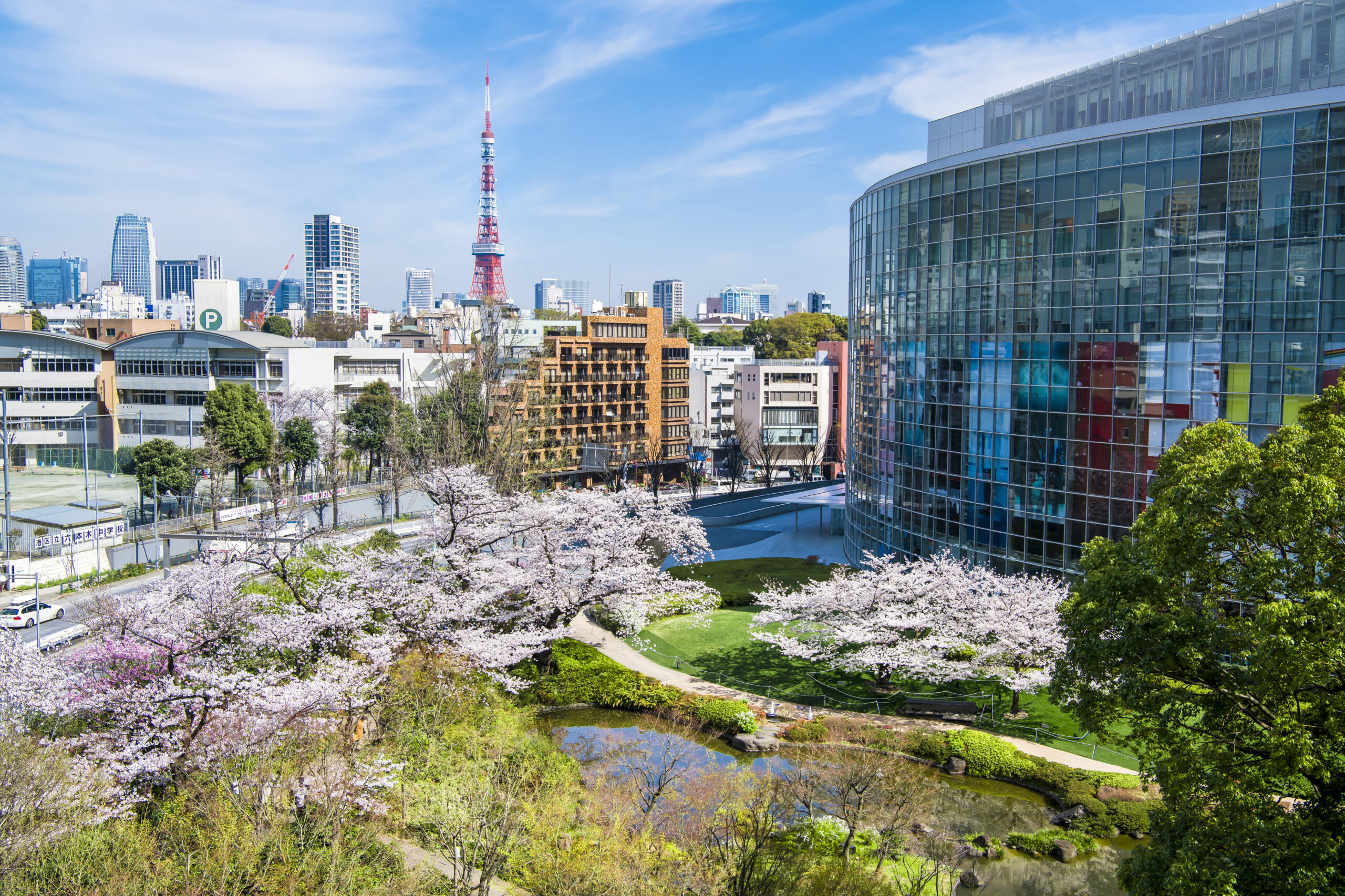 毛利庭園の昼の桜